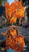 Vibrant autumn leaves reflect on a quiet street in a picturesque neighborhood at sunset photo