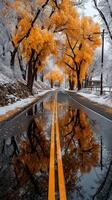 Vibrant autumn colors reflected in a snowy road surrounded by trees at dawn photo