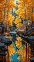 Autumn trees with vibrant leaves reflecting in a calm river under bright sunlight photo