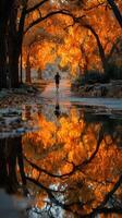 Runner navigating a park pathway framed by vibrant autumn trees at sunset reflecting on puddles photo