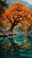 Colorful autumn tree reflecting in a serene river surrounded by rocky terrain and dense forest in a tranquil natural setting photo