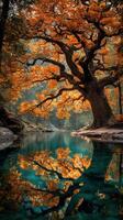 Majestic autumn tree with vibrant orange leaves reflecting in serene water at tranquil location in the forest during golden hour photo