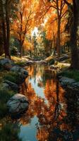 Autumn colors reflect in a serene stream surrounded by trees at a peaceful park photo