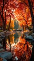 Autumn trees reflect in calm water with vibrant colors at a tranquil park setting during golden hour photo