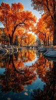 Colorful autumn trees reflecting in calm waters of a serene park at sunset photo
