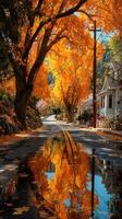 Bright autumn leaves reflect on a quiet street lined with charming houses in a picturesque neighborhood photo