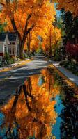 Vibrant autumn colors reflected in a serene puddle on a quiet street lined with trees photo