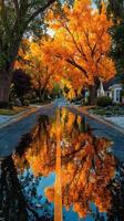 Colorful fall trees reflect in a puddle on a quiet street during golden hour photo