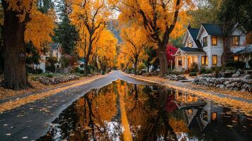 Autumn street lined with golden trees reflecting on water after rain in a peaceful neighborhood photo