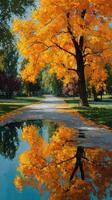 Vibrant autumn colors reflect on a peaceful park path under a clear blue sky photo