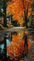 Autumn foliage reflects in puddles on a tranquil neighborhood street during the afternoon photo