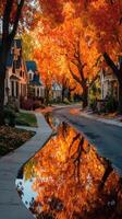 Vibrant autumn trees reflect in a quiet suburban street during golden hour in a peaceful neighborhood photo