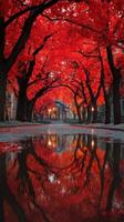 Vibrant red foliage reflects in calm water along a tree-lined pathway during autumn in a tranquil park setting photo