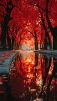 Autumn foliage reflecting on calm water in a tranquil park at dawn photo