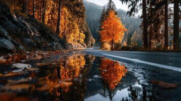 Autumn landscape with vibrant trees and reflective water along a winding road in a mountainous region photo