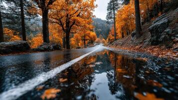Autumn road lined with vibrant orange trees reflecting on a rainy surface in a serene forest setting photo