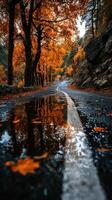 Autumn road lined with vibrant orange trees and a reflecting puddle during a tranquil sunset photo