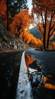 Vibrant autumn colors reflect on a winding road with puddles and trees in a tranquil forest setting photo