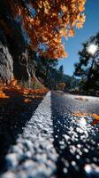 Beautiful autumn landscape with fallen leaves along a scenic road in the mountains during sunny daylight photo