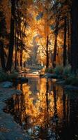 Fall colors reflect in a serene forest stream during golden hour at a national park photo