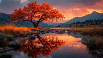 Beautiful autumn sunset reflecting off a tranquil lake with vibrant orange tree photo