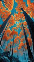 Vibrant autumn foliage illuminates a serene forest under a clear blue sky at midday in an enchanting natural landscape photo