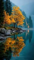 Vibrant autumn tree reflecting in tranquil lake surrounded by misty mountains in a serene landscape photo