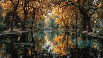Autumn colors reflect beautifully on still waters in a serene park setting at sunset photo