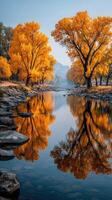 Golden autumn trees reflect on calm river surface in serene landscape during early morning light photo
