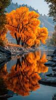Colorful autumn trees reflect in the calm river during golden hour in a serene landscape photo