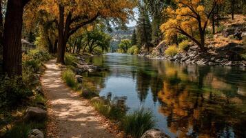 Beautiful riverbank lined with trees during autumn showcasing vibrant foliage in a peaceful natural setting photo