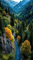 Scenic autumn view of winding road through mountains with vibrant trees in valley photo