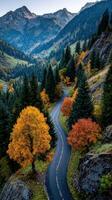 Scenic autumn landscape featuring winding road and vibrant foliage in mountainous region photo