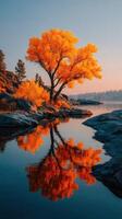 Beautiful autumn tree reflects in calm water at sunrise in a peaceful natural setting photo