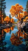 Autumn colors reflect beautifully in a serene mountain stream under a clear blue sky in mid-afternoon light photo