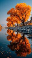 Vibrant autumn trees reflecting on a tranquil river during a clear day in a serene landscape photo