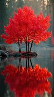 Vibrant red tree reflecting in calm water at dawn reveals nature's stunning beauty in a serene forest setting photo