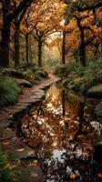 Beautiful autumn pathway lined with trees and tranquil water reflection in a serene forest setting photo