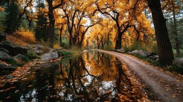 Autumn trail lined with golden foliage reflecting in calm water during a serene afternoon walk photo