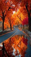 Vibrant autumn colors reflect on a serene road surrounded by trees in a peaceful landscape photo
