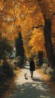 Walking a dog through a vibrant autumn path lined with golden trees in a peaceful neighborhood photo