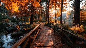 Peaceful wooden bridge over a serene river surrounded by autumn foliage at sunset in a quiet forest reserve photo