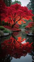 Stunning autumn foliage reflects in tranquil water of a Japanese garden at twilight photo