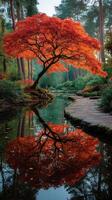 Brilliant autumn leaves reflect in tranquil pond within serene forest landscape at dawn photo