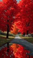 Vibrant autumn path lined with red trees reflecting in water during a sunny day in a peaceful countryside setting photo