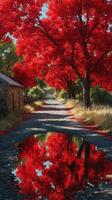 Vibrant red trees line the tranquil path reflecting in the water on a bright autumn day photo