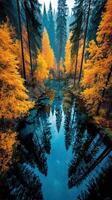 Vibrant autumn forest reflecting in a tranquil lake surrounded by towering trees and colorful foliage photo