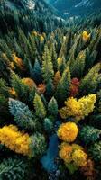 Vibrant autumn forest landscape showcasing colorful foliage and a meandering stream in a mountainous area photo