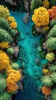 Vibrant autumn foliage surrounds a winding river under clear blue waters in a tranquil natural setting photo