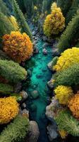 Vibrant autumn landscape showcasing a river winding through colorful foliage in a forested valley photo